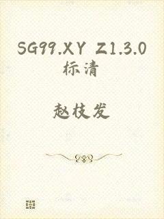 SG99.XY Z1.3.0标清